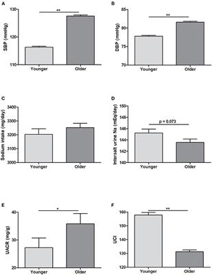 Pressure-Natriuresis Response Is Diminished in Old Age